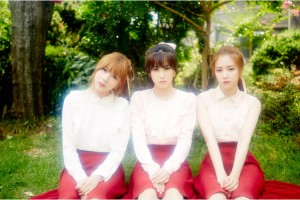 apink-5th-mini-album-3 (1)