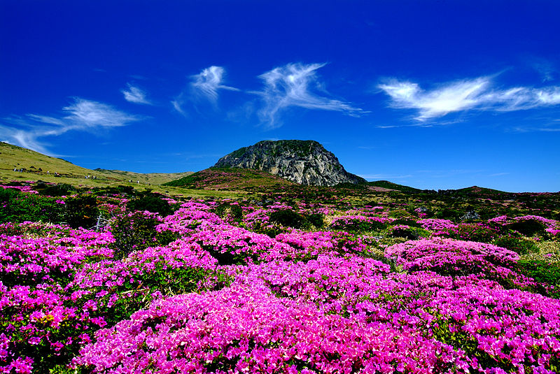 situs-unesco-jeju